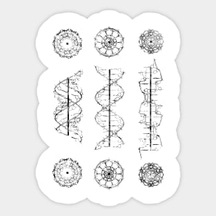 A-,B-, and Z-DNA Sticker